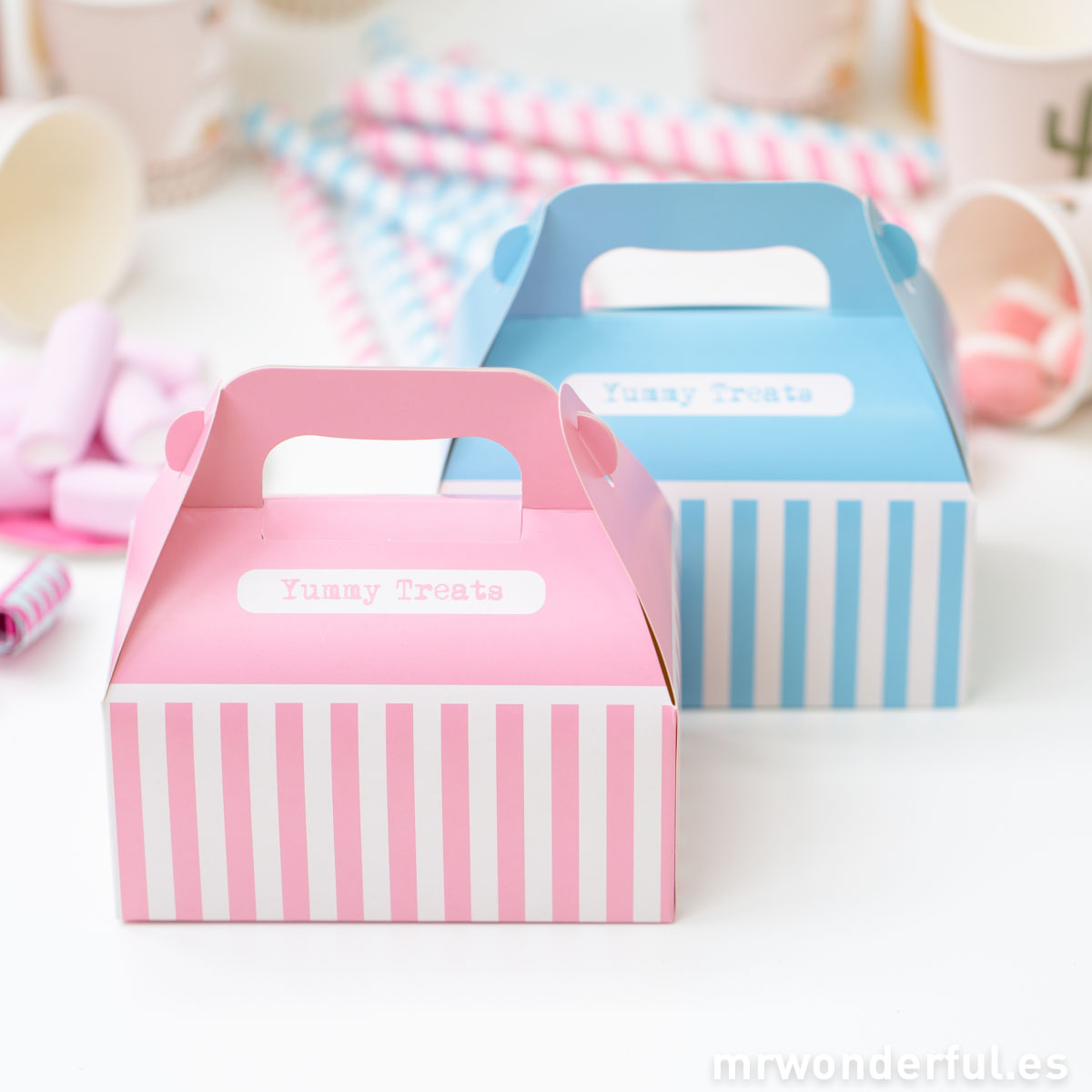 Mr.Wonderful set de cajas picnic de color rosa y azul