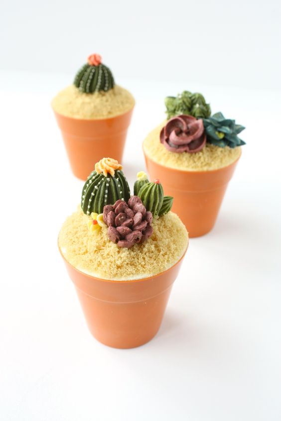 cupcake 3 cactus