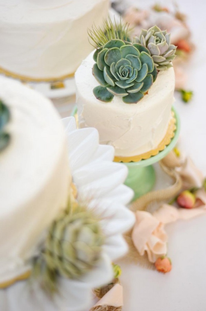 pastel boda cactus 10