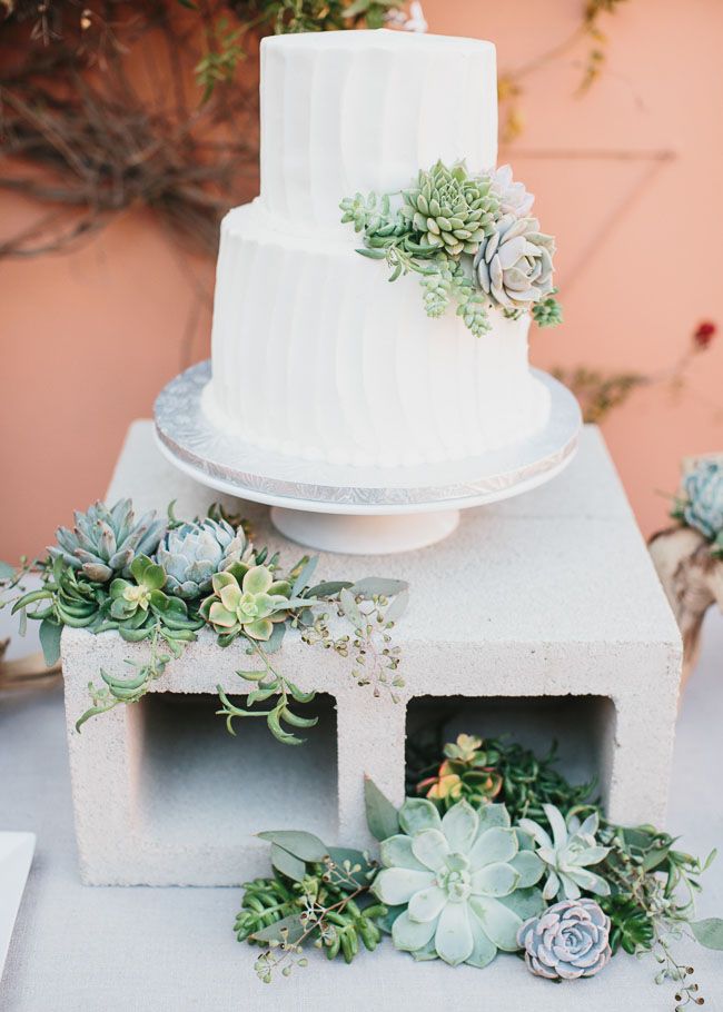 pastel boda cactus 11