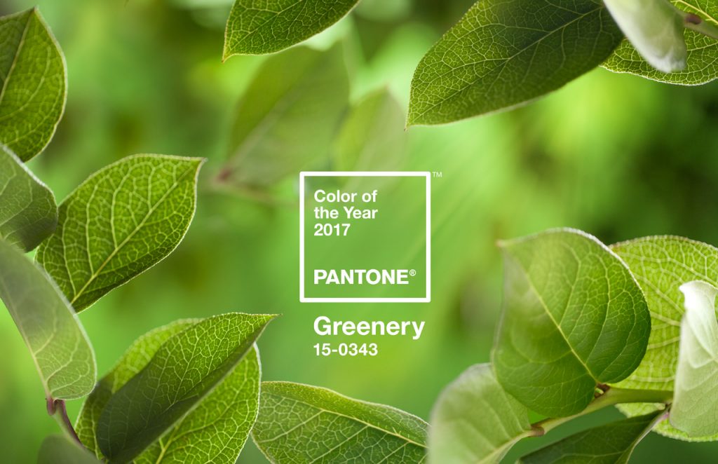3066350-inline-14-pantone-announces-the-2017-color-of-the-year-greenery-1024x662