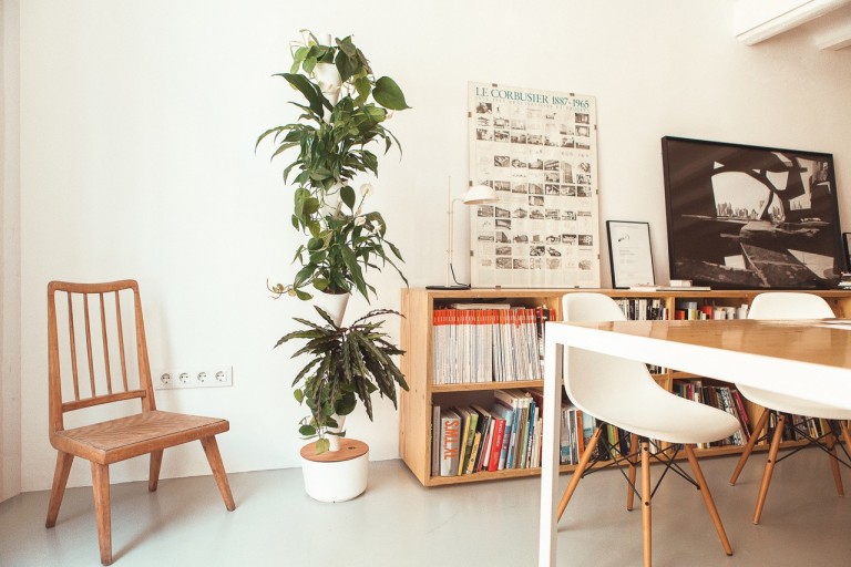No hace falta tener un casoplón para tener un jardín vertical en casa
