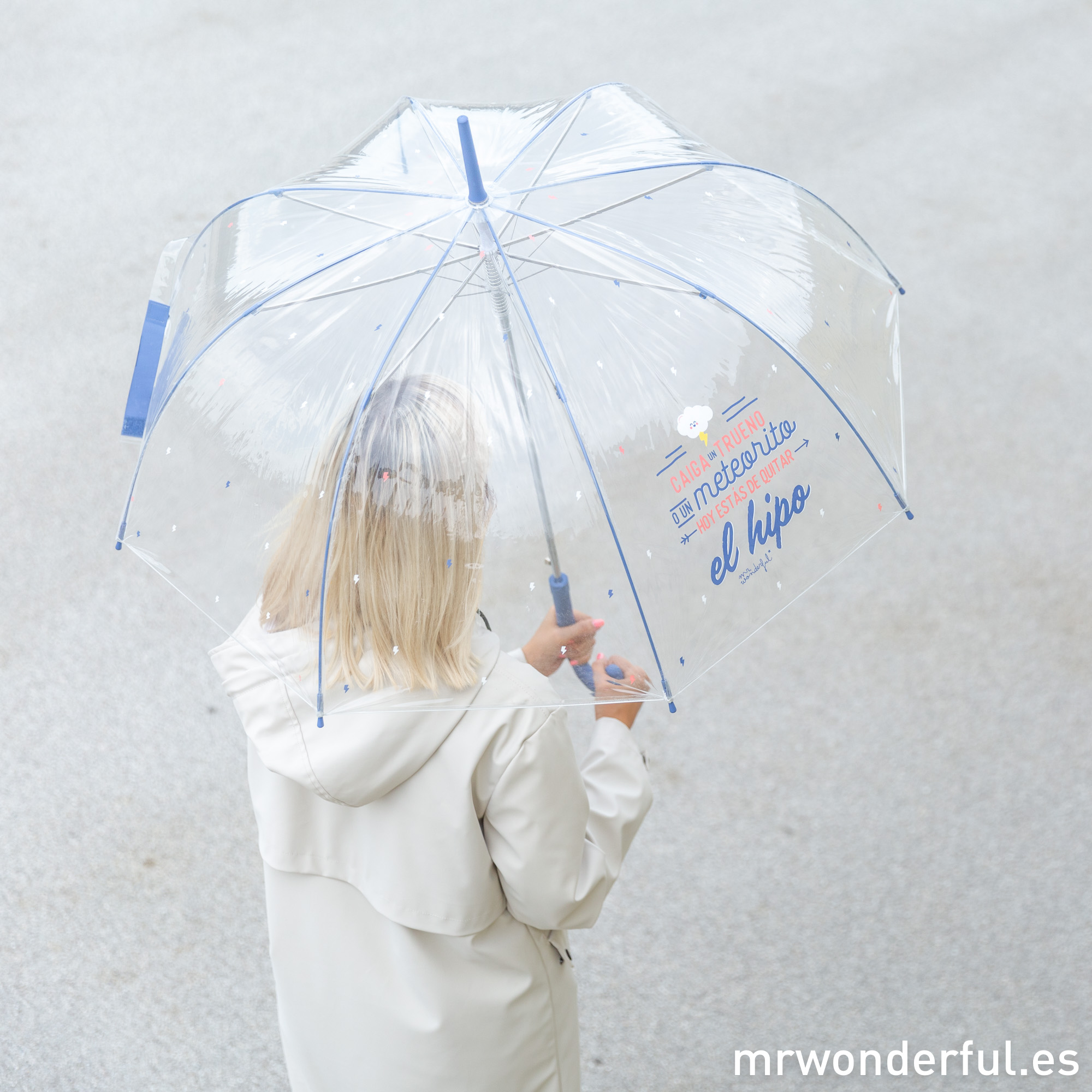 A grises... ¡paraguas bonitos de Mr. Wonderful! - muymolon